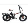 BICI ELETTRICA RESET REDWOOD YOUNG 250W 36V 10AH