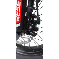 BICI ELETTRICA RESET REDWOOD YOUNG 250W 36V 10AH