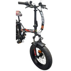BICI ELETTRICA RESET REDWOOD YOUNG 250W 36V 10AH