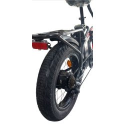 BICI ELETTRICA RESET REDWOOD YOUNG 250W 36V 10AH