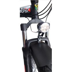 BICI ELETTRICA RESET REDWOOD YOUNG 250W 36V 10AH
