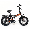 BICI ELETTRICA ALGI TRK X 48V 750W