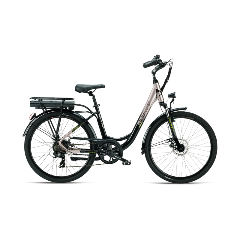 BICI ELETTRICA ARMONY FIRENZE ADVANCE